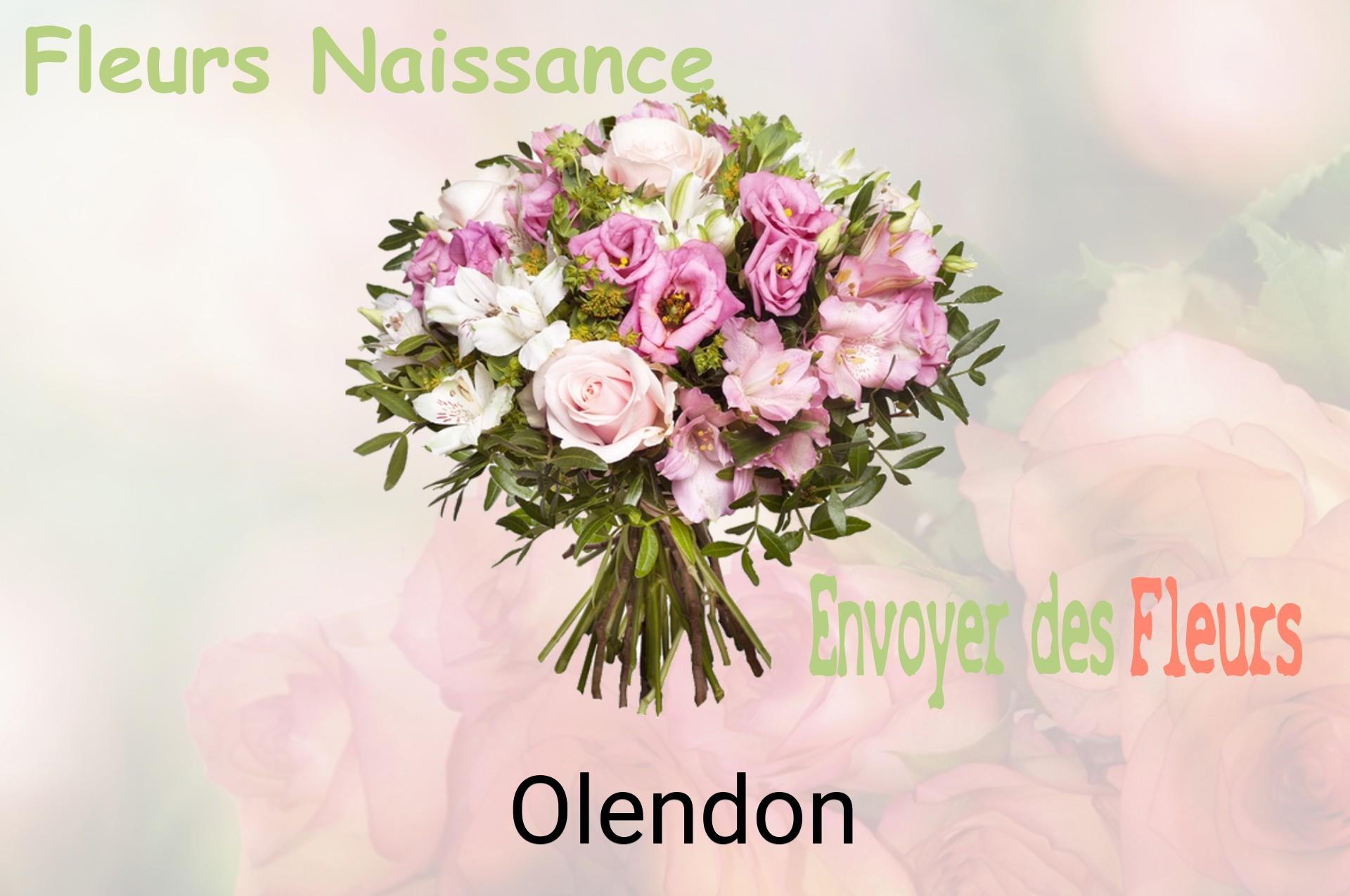 Bouquet de fleurs de naissance livré à Olendon